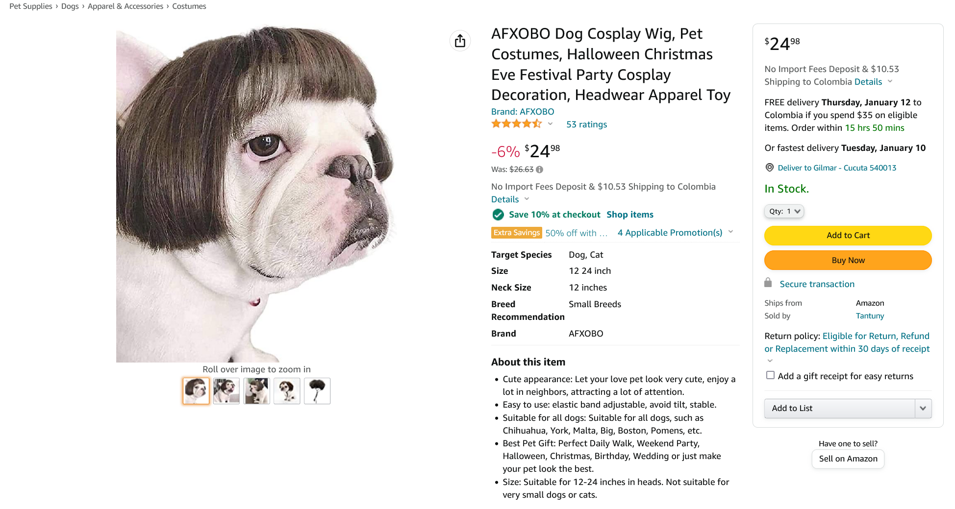 Screenshot 2022-12-27 at 01-24-21 Amazon.com AFXOBO Dog Cosplay Wig Pet Costumes Halloween Chr...png
