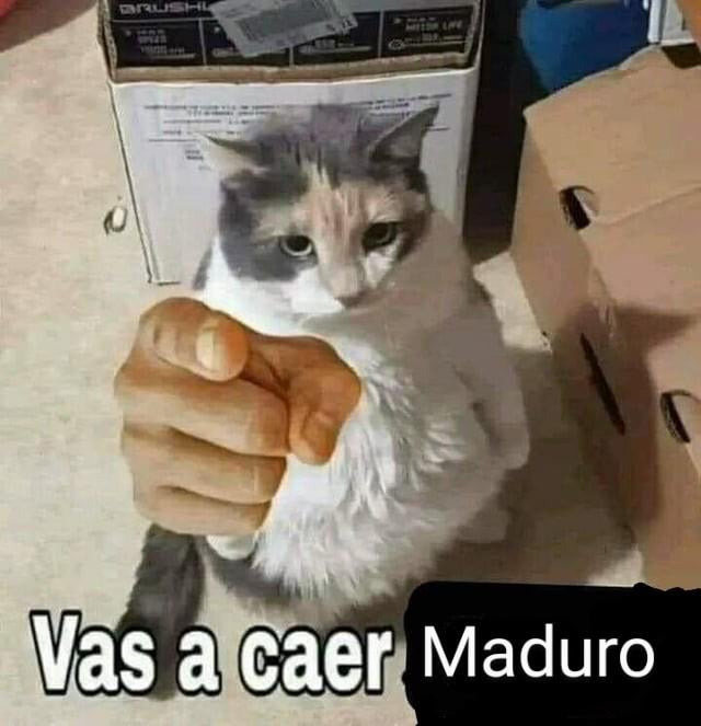 vas-a-caer-maduro-v0-p8dq5mpst5lc1.jpeg